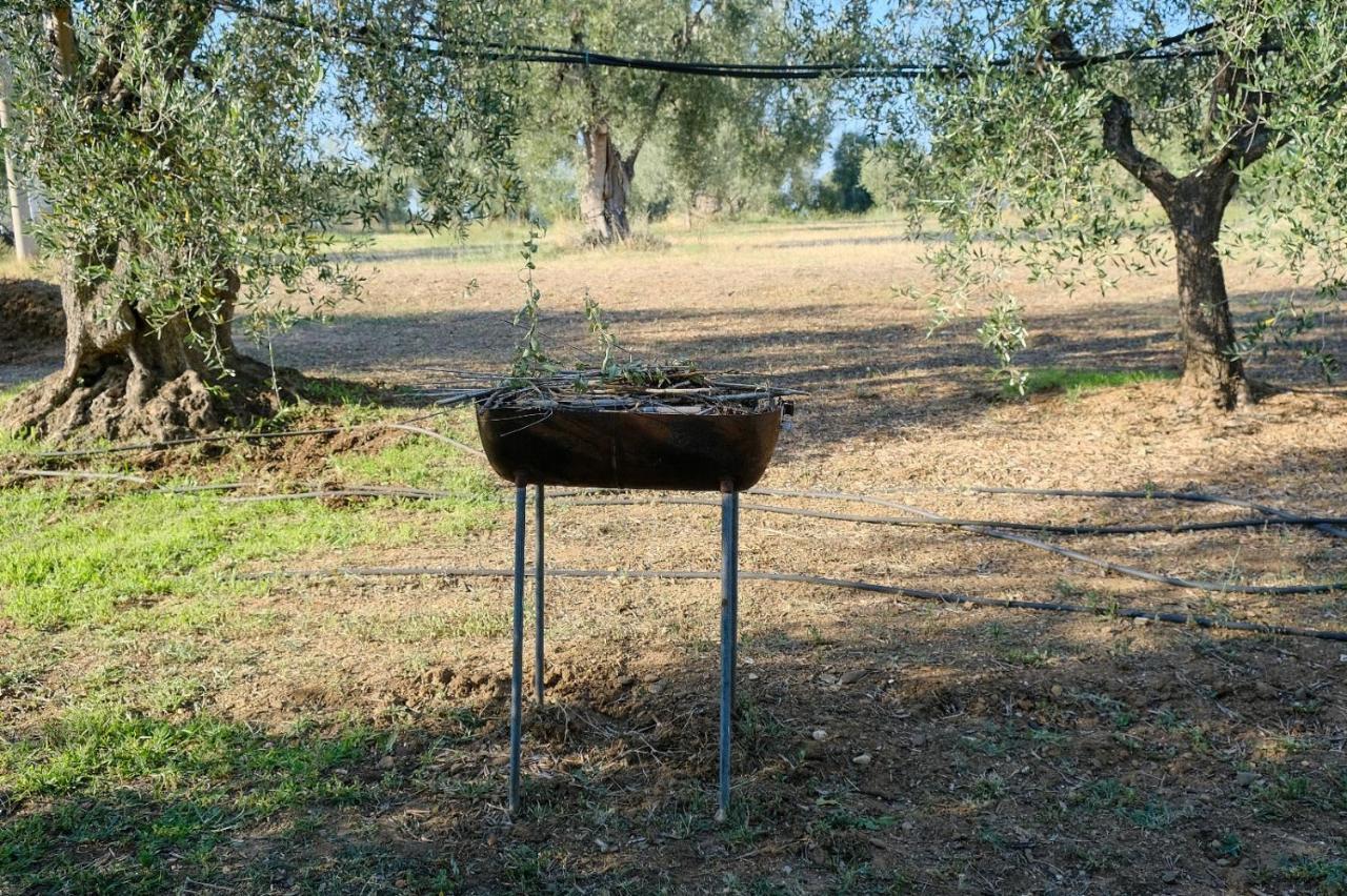 Holiday home La Di Campagna *